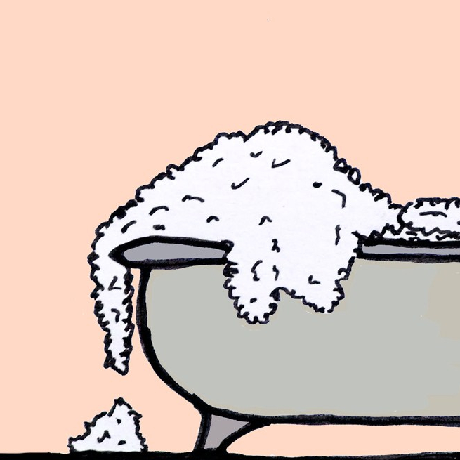 Folge 99 –&nbsp;Pferderücken